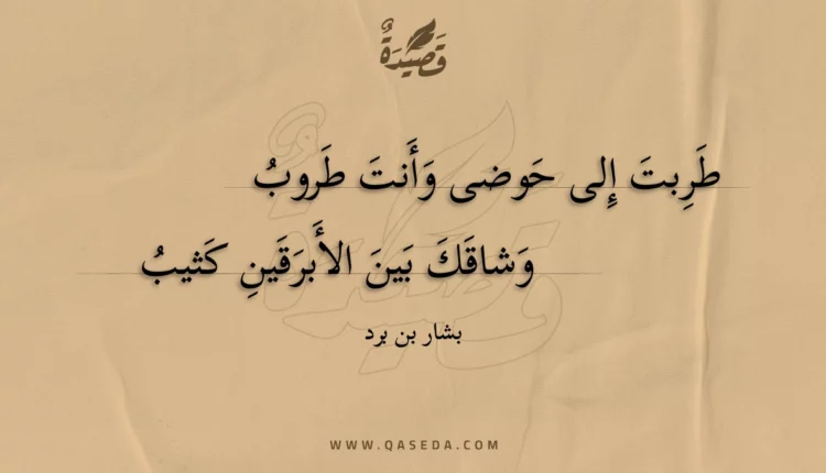 قصيدة طربت إلى حوضى وأنت طروب