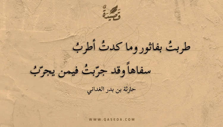 قصيدة طربت بفاثور وما كدت أطرب