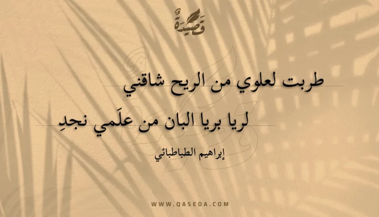 قصيدة طربت لعلوي من الريح شاقني