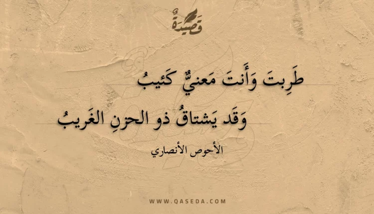 قصيدة طربت وأنت معني كئيب