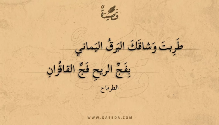 قصيدة طربت وشاقك البرق اليماني