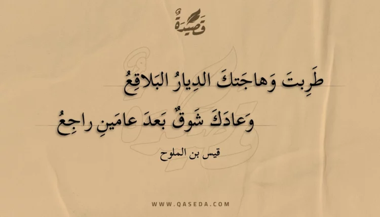 قصيدة طربت وهاجتك الديار البلاقع