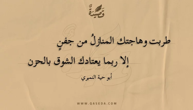 قصيدة طربت وهاجتك المنازل من جفن
