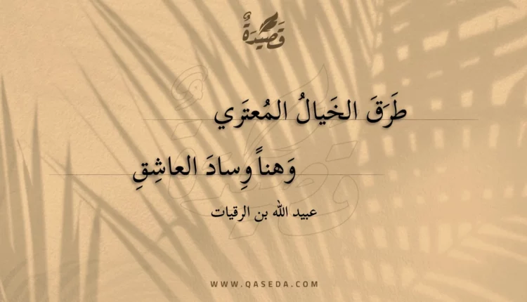 قصيدة طرق الخيال المعتري