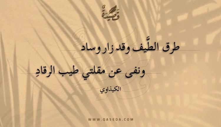 قصيدة طرق الطيف وقد زار وساد
