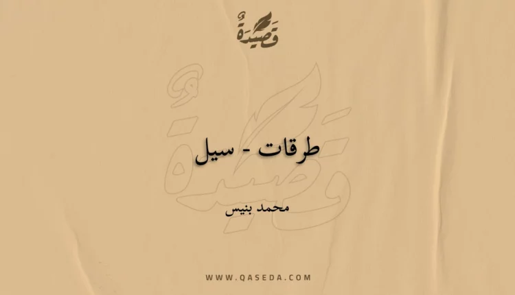 قصيدة طرقات - سيل