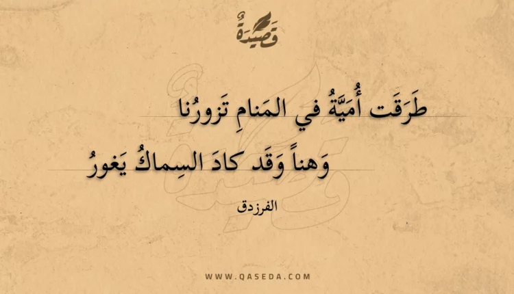 قصيدة طرقت أمية في المنام تزورنا