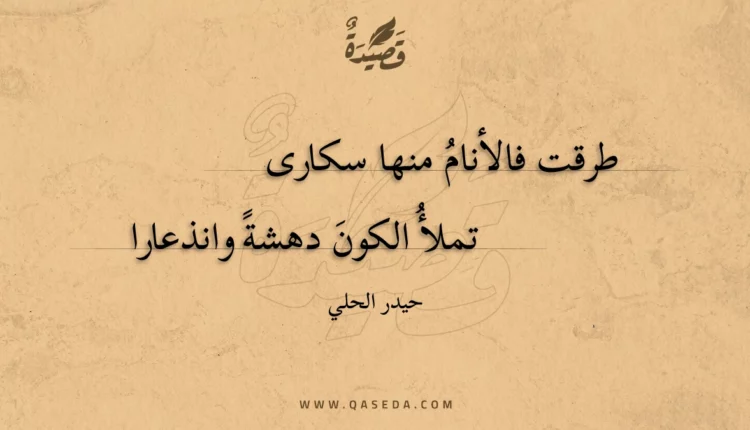 قصيدة طرقت فالأنام منها سكارى