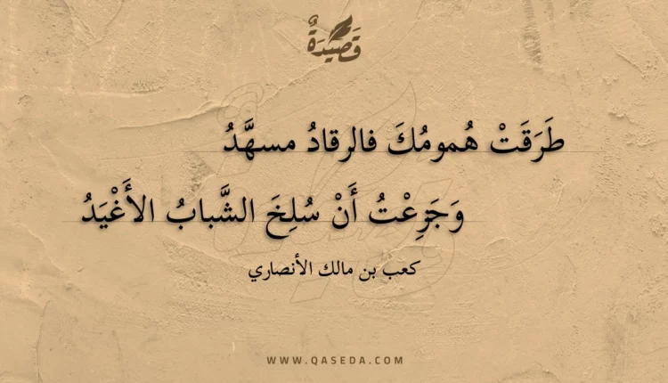 قصيدة طرقت همومك فالرقاد مسهد