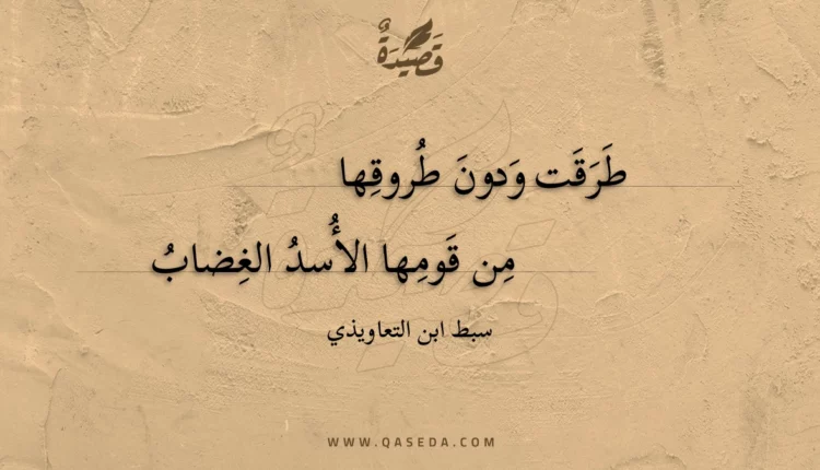 قصيدة طرقت ودون طروقها