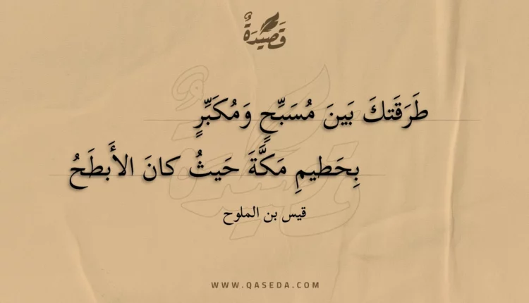 قصيدة طرقتك بين مسبح ومكبر