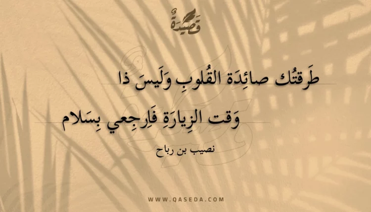 قصيدة طرقتك صائدة القلوب وليس ذا