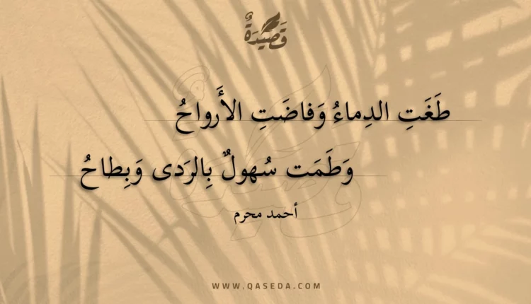 قصيدة طغت الدماء وفاضت الأرواح