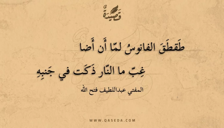 قصيدة طقطق الفانوس لما أن أضا