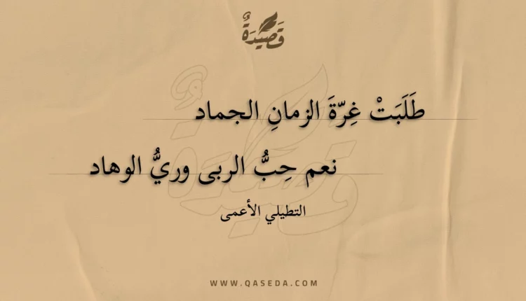 قصيدة طلبت غرة الزمان الجماد