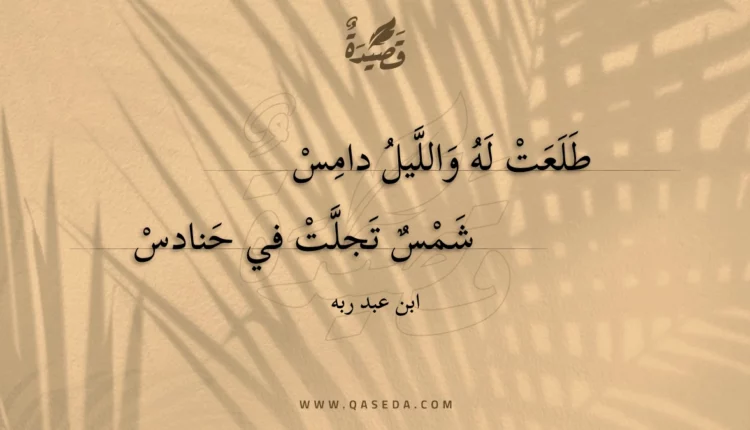 قصيدة طلعت له والليل دامس