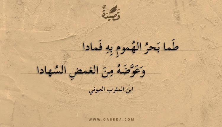 قصيدة طما بحر الهموم به فمادا