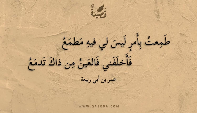 قصيدة طمعت بأمر ليس لي فيه مطمع