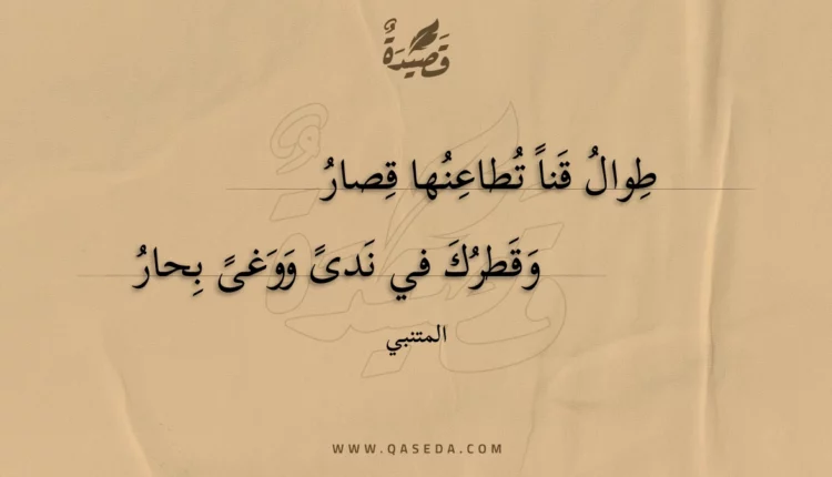 قصيدة طوال قنا تطاعنها قصار
