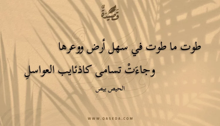 قصيدة طوت ما طوت في سهل أرض ووعرها