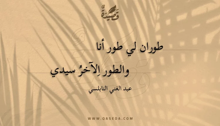 قصيدة طوران لي طور أنا