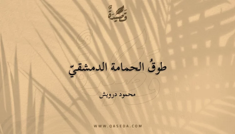 قصيدة طوقُ الحمامة الدمشقيّ