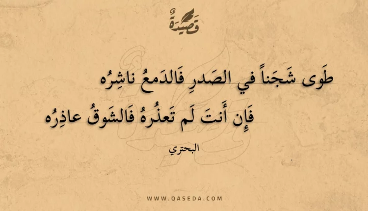 قصيدة طوى شجنا في الصدر فالدمع ناشره
