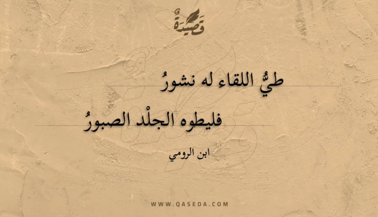 قصيدة طي اللقاء له نشور