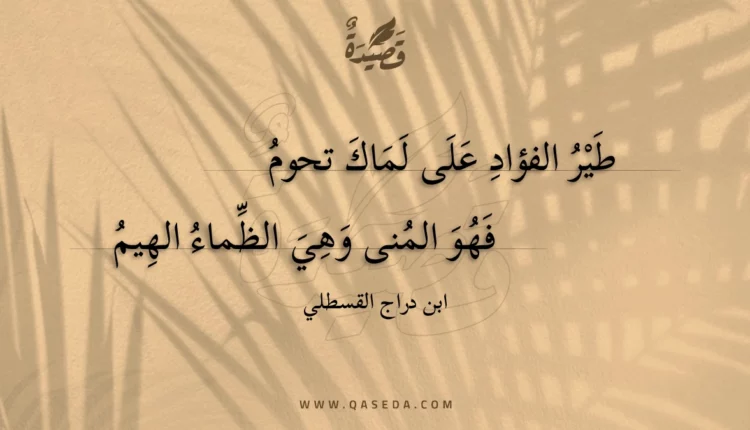 قصيدة طير الفؤاد على لماك تحوم