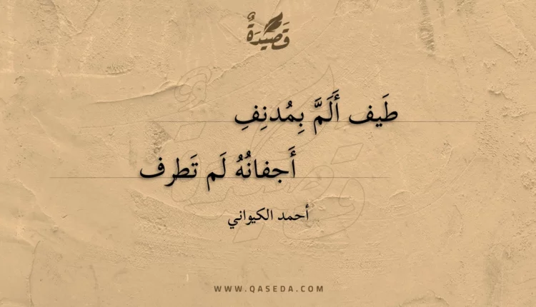 قصيدة طيف ألم بمدنف