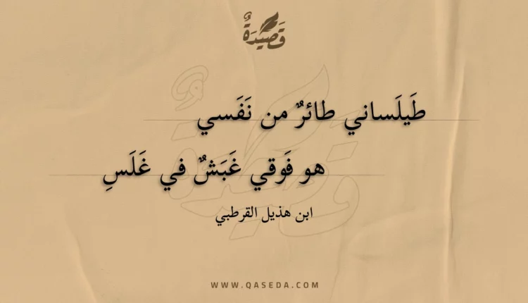 قصيدة طيلساني طائر من نفسي