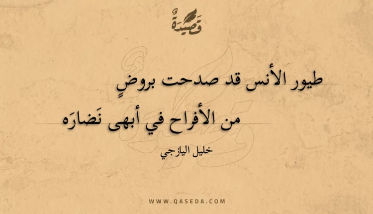 قصيدة طيور الأنس قد صدحت بروض