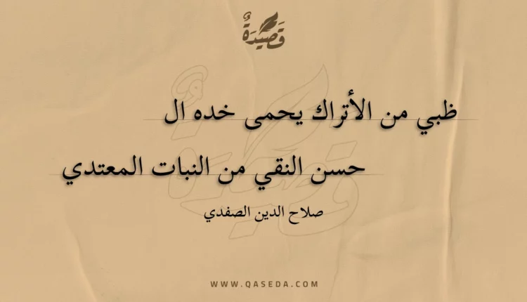 قصيدة ظبي من الأتراك يحمى خده