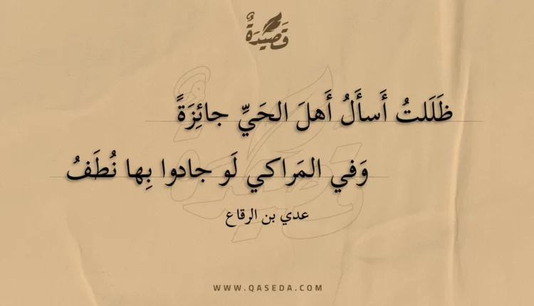 قصيدة ظللت أسأل أهل الحي جائزة