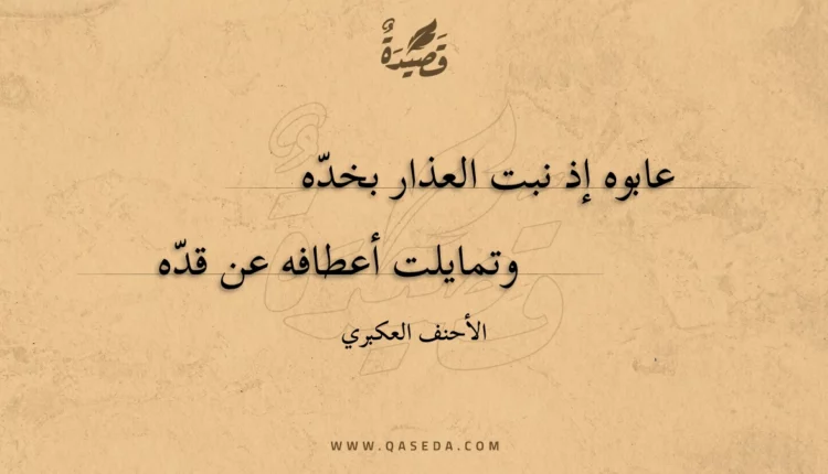 قصيدة عابوه إذ نبت العذار بخده
