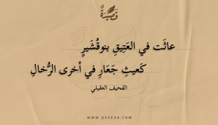 قصيدة عاثت في العتيق بنوقشير