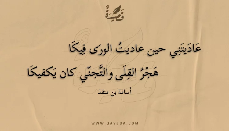 قصيدة عاديتني حين عاديت الورى فيكا