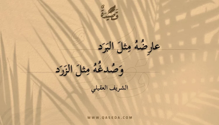 قصيدة عارضه مثل البرد