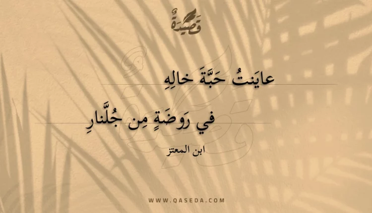 قصيدة عاينت حبة خاله