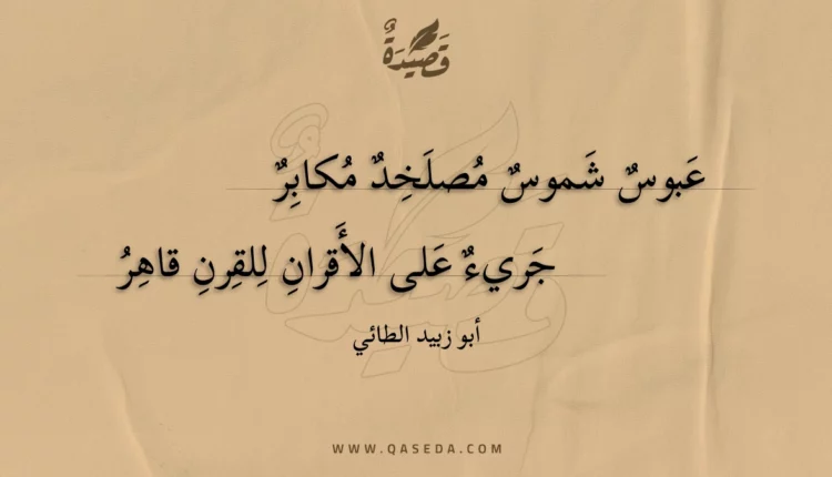 قصيدة عبوس شموس مصلخد مكابر
