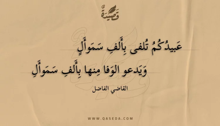قصيدة عبيدكم تلفى بألف سموأل