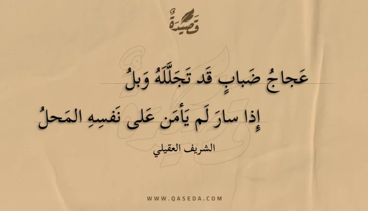 قصيدة عجاج ضباب قد تجلله وبل