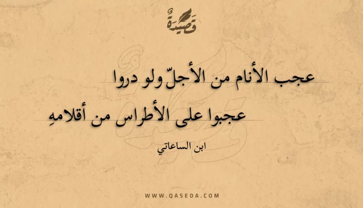 قصيدة عجب الأنام من الأجل ولو دروا