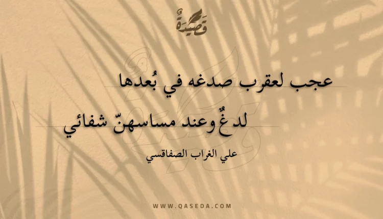 قصيدة عجب لعقرب صدغه في بعدها