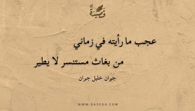قصيدة عجب ما رأيته في زماني