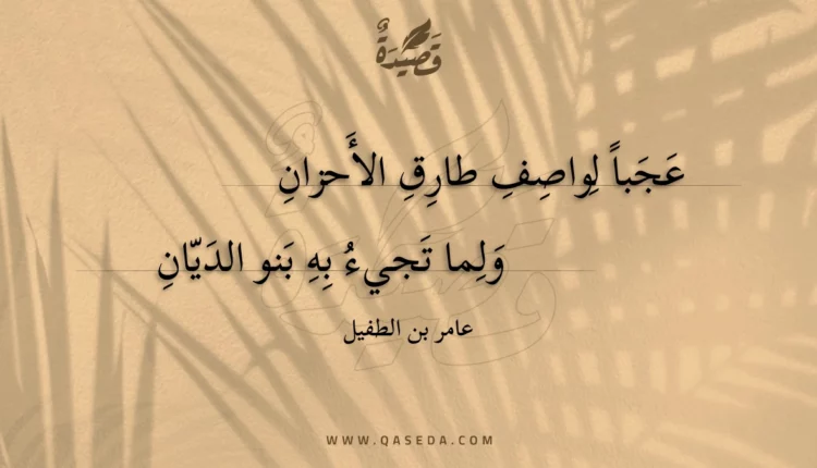 قصيدة عجبا لواصف طارق الأحزان