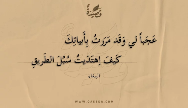 قصيدة عجبا لي وقد مررت بأبياتك