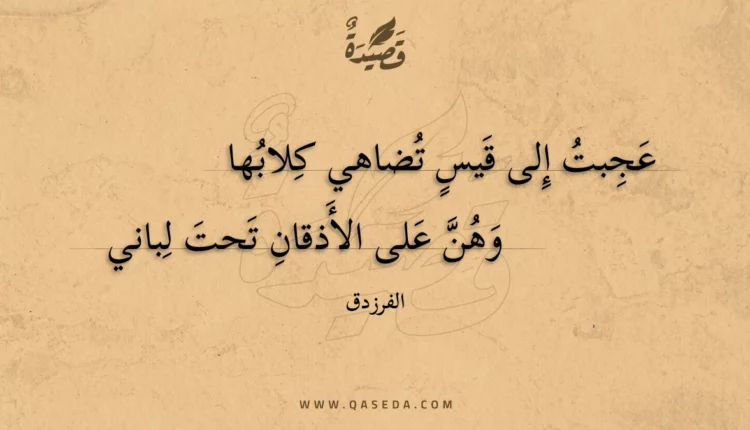 قصيدة عجبت إلى قيس تضاهي كلابها
