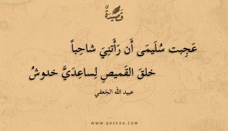قصيدة عجبت سليمى أن رأتني شاحبا