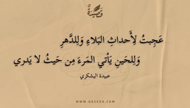 قصيدة عجبت لأحداث البلاء وللدهر